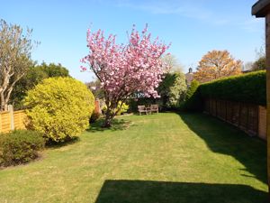 Photo 19- click for photo gallery